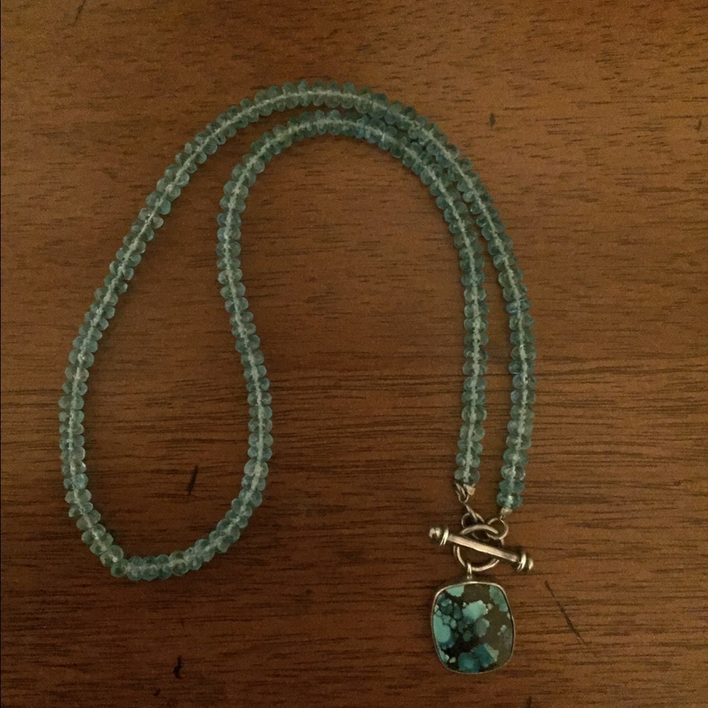 NWOT Gorgeous Turquoise and Sterling Silver necklace from Fire and Ice